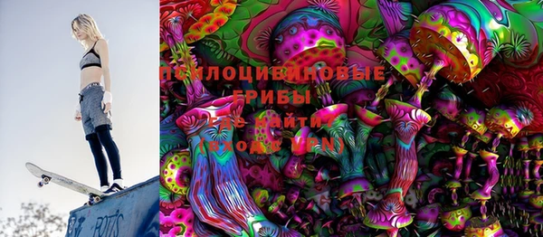 гашик Бородино