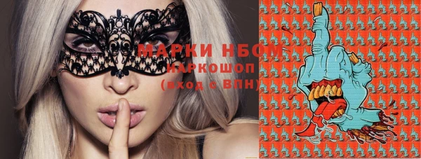гашик Бородино