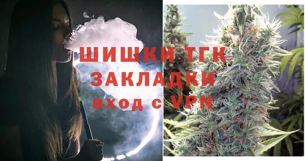гашик Бородино