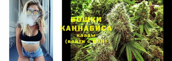 гашик Бородино