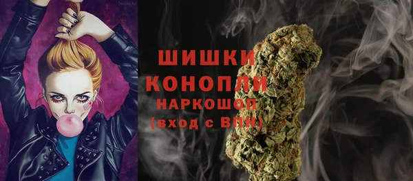 гашик Бородино