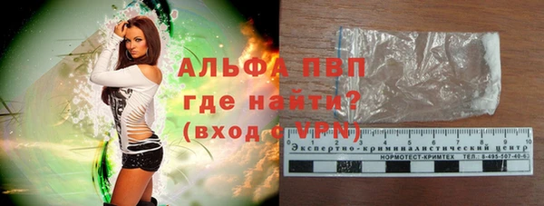 гашик Бородино