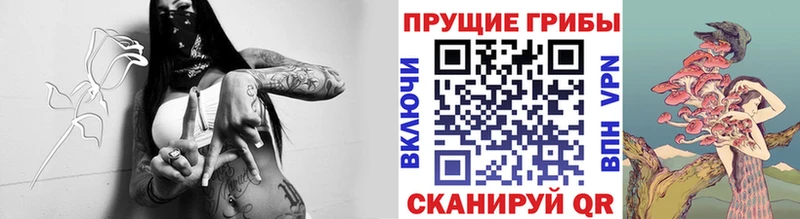 Псилоцибиновые грибы прущие грибы Дальнегорск