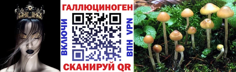 Галлюциногенные грибы MAGIC MUSHROOMS  Дальнегорск 